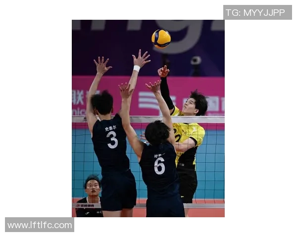 杭州排球队实力强劲最新排球力量排行榜前十名揭晓